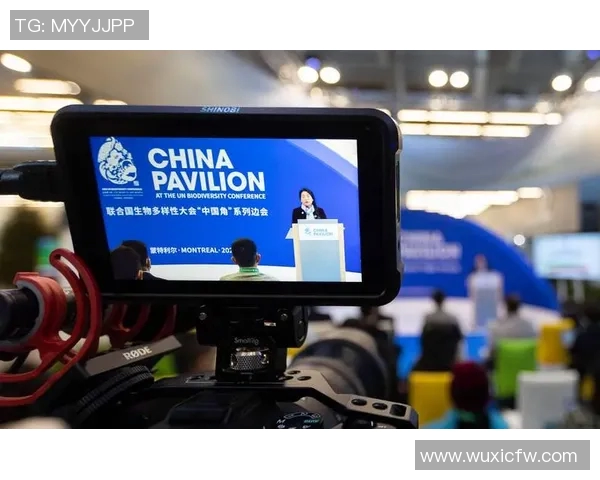 CCTV4在线直播优势解析：技术先进、内容丰富、互动多样、分析专业